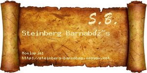Steinberg Barnabás névjegykártya